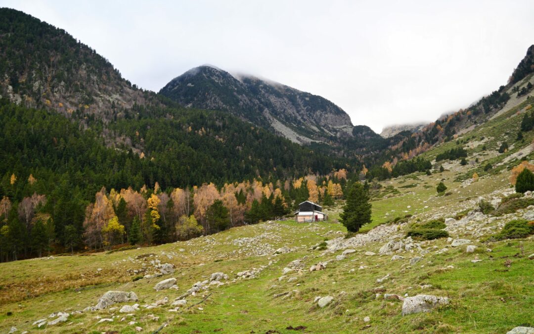 Pic de Gallinàs (2624 m) depuis Thuès-Entre-Valls