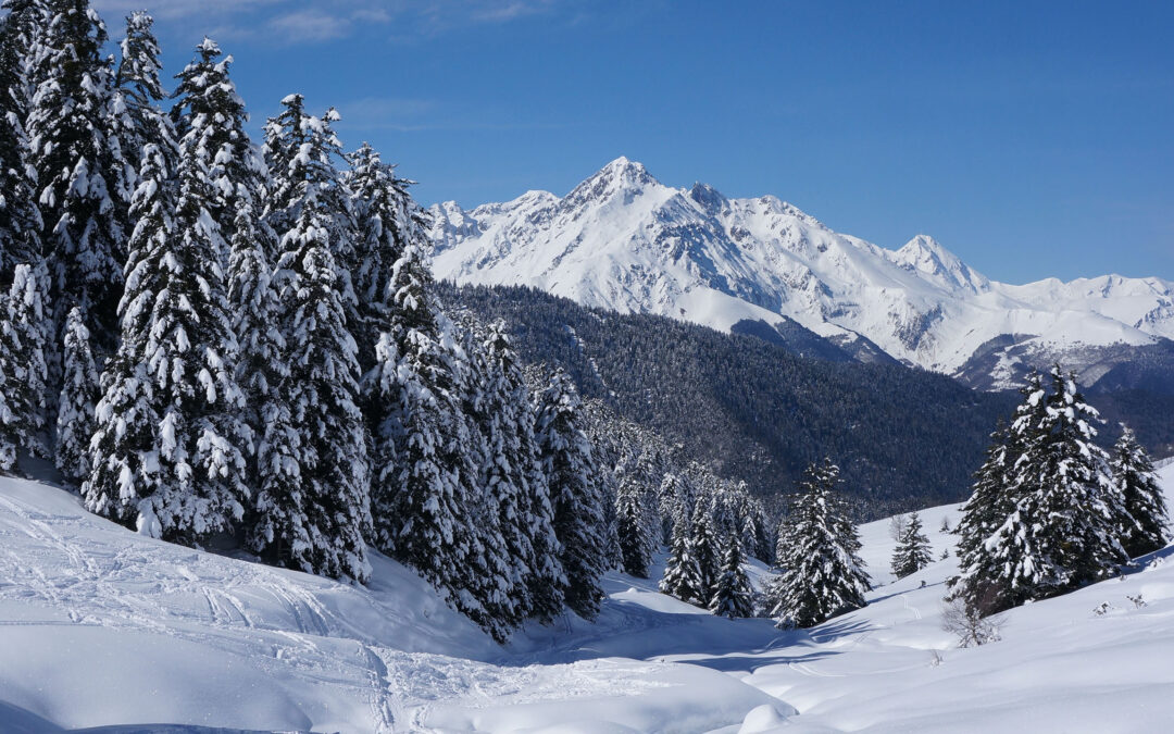 Scission du massif « Midi de Bigorre – Arbizon »