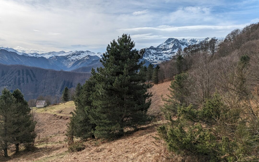 Cap de Bouirex (1873 m) depuis Seix